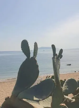 公寓 Bandiera 巴勒莫